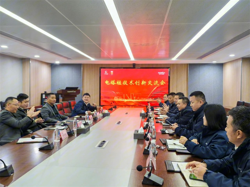 利来老牌国际官网智能举行电塔桩手艺立异交流会，为电力基础设施建设注入新动力